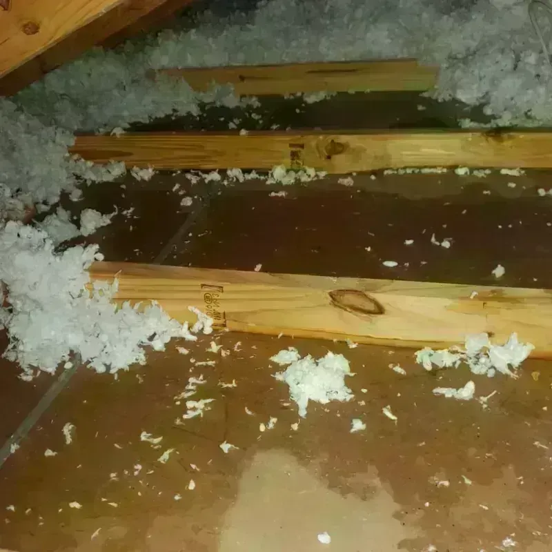 Attic Water Damage in Wheatland, WY