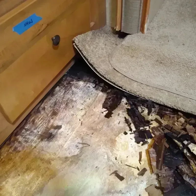 Wood Floor Water Damage in Wheatland, WY